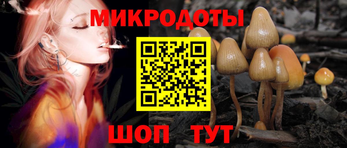 Партизанск  Галлюциногенные грибы прущие грибы  Вход с VPN 